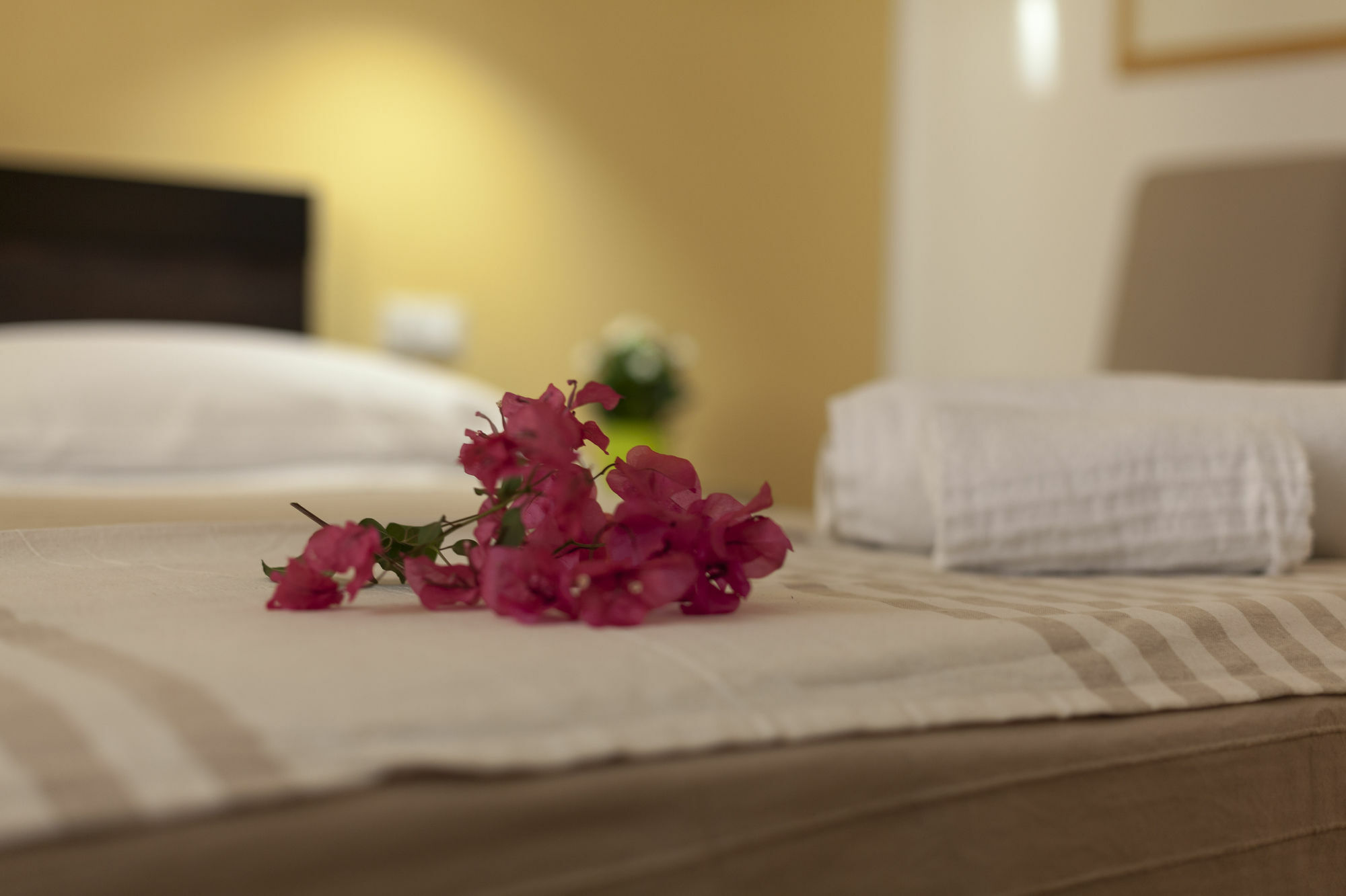 Piazza Marina Bed and Breakfast Palermo Exteriör bild
